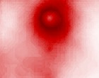 wetlook forum